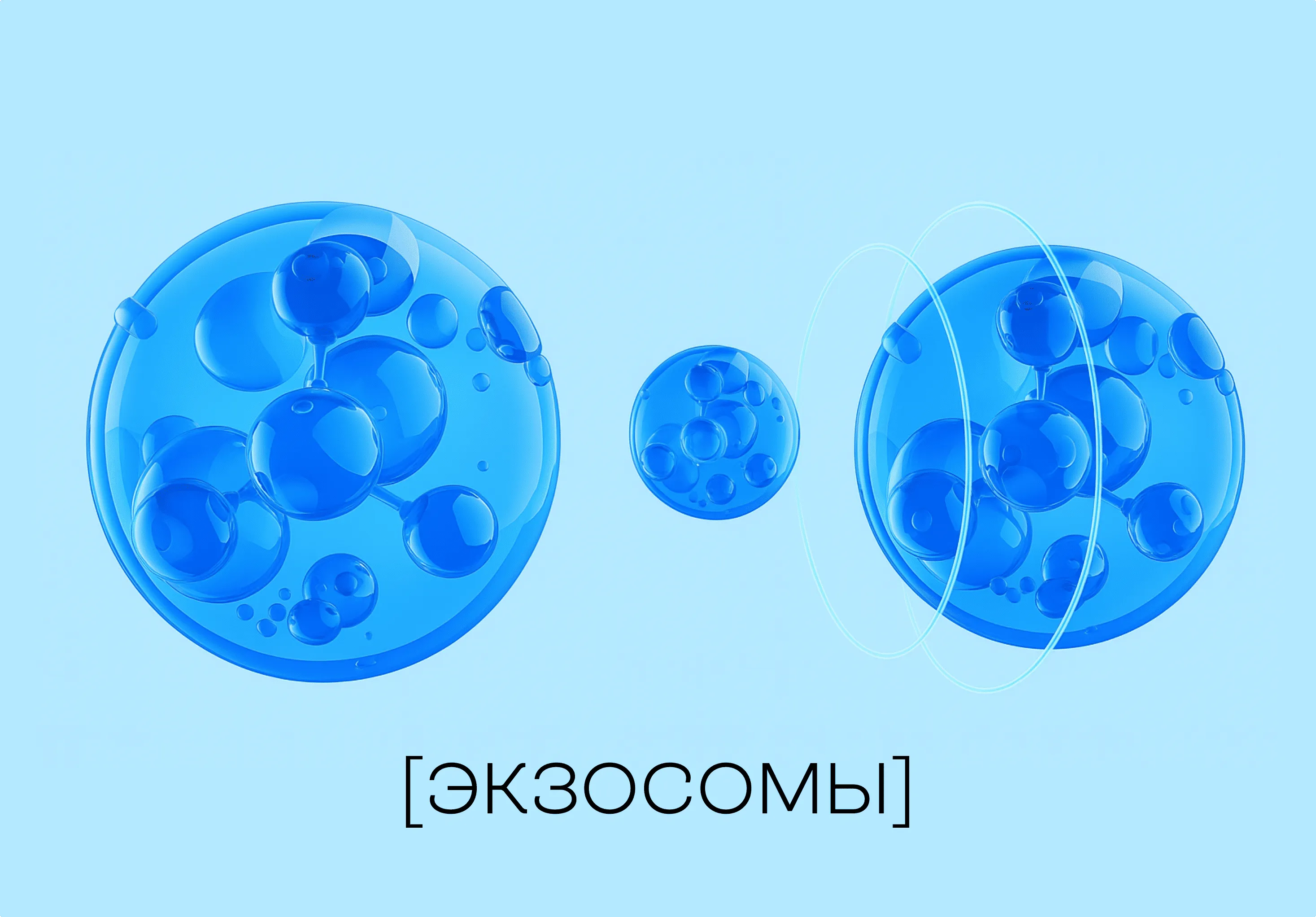 ЭКЗОСОМЫ