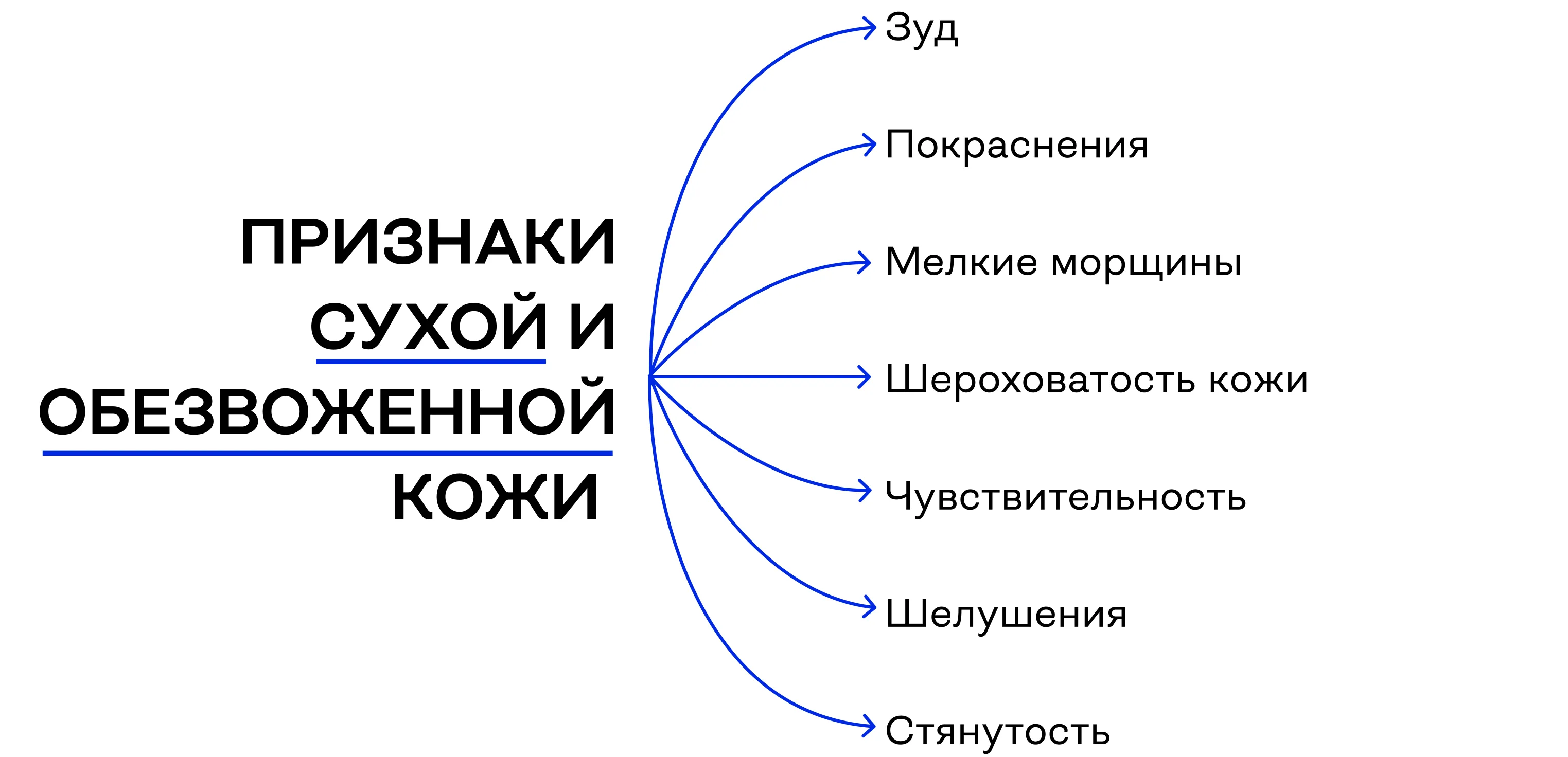 Схема признаков обезвоживания кожи